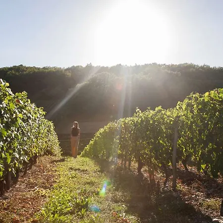 Ogcity, Est * 瓦朗斯