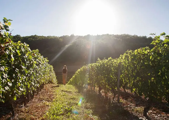 Ogcity, Est * Valence (Drome)